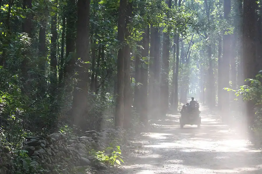 Delhi – Jim Corbett National Park Weekend Tour